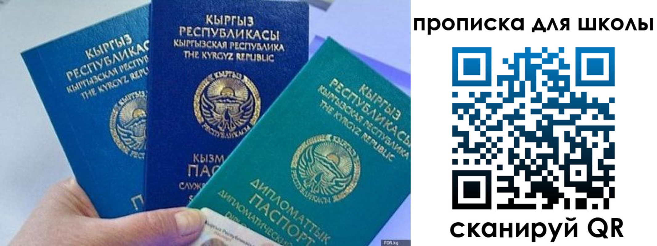 прописка регистрация в Химках
